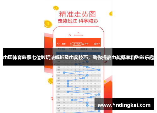 中国体育彩票七位数玩法解析及中奖技巧，助你提高中奖概率和购彩乐趣